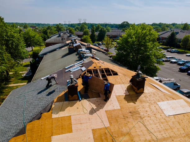 Trusted Flat Roof Repair service in Thaxton, MS - Brentwood Metal Roofing